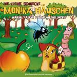 Cover-Bild Die kleine Schnecke Monika Häuschen - CD / 24: Warum laufen Fliegen an der Decke?