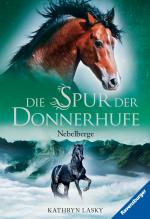 Cover-Bild Die Spur der Donnerhufe, Band 3: Nebelberge