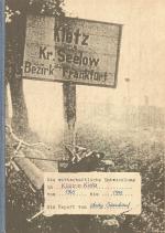 Cover-Bild Die wirtschaftliche Entwicklung in Küstrin-Kietz von 1945 bis 1995 - Ein Report von Andy Steinhauf