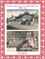 Cover-Bild Dr. Lahmanns Sanatorium im Kurort Bad Weißer Hirsch (1888 - heute)