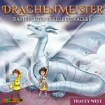 Cover-Bild Drachenmeister (11)