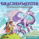 Cover-Bild Drachenmeister (20)