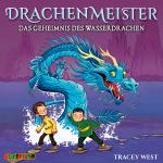 Cover-Bild Drachenmeister (3)