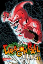 Cover-Bild Dragon Ball Massiv 13