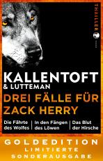 Cover-Bild Drei Fälle für Zack Herry