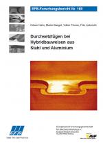 Cover-Bild Durchsetzfügen bei Hybridbauweisen aus Stahl und Aluminium