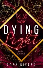 Cover-Bild Dying Light