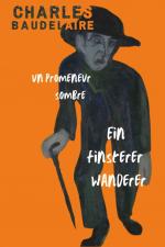 Cover-Bild Ein finsterer Wanderer / Un promeneur sombre