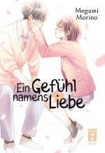 Cover-Bild Ein Gefühl namens Liebe 11