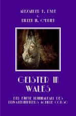 Cover-Bild Ein Kriminalfall des Privatermittlers Achille Corso / Geister in Wales