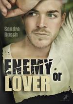 Cover-Bild Enemy or Lover