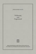 Cover-Bild Erfahrung und Gegenstand