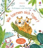 Cover-Bild Erstes Aufklappen und Verstehen: Wie tarnen sich Tiger?