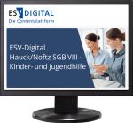 Cover-Bild ESV-Digital Hauck/Noftz SGB VIII AI - Kinder- und Jugendhilfe - Jahresabonnement bei Kombibezug Print und Datenbank