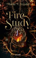 Cover-Bild Fire Study
