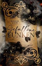 Cover-Bild Gefallene Funken