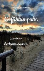 Cover-Bild Gefühlsimpulse aus dem Seelenuniversum
