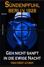 Cover-Bild Geh nicht sanft in die ewige Nacht: Sündenpfuhl Berlin 1928 - Band 5