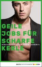 Cover-Bild Geile Jobs für scharfe Kerle