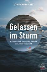 Cover-Bild Gelassen im Sturm