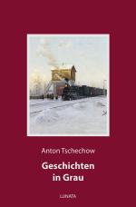 Cover-Bild Geschichten in Grau