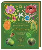 Cover-Bild Große und kleine Schätze der Natur. Pflanzen