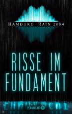 Cover-Bild Hamburg Rain 2084. Risse im Fundament