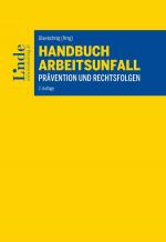 Cover-Bild Handbuch Arbeitsunfall