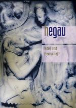 Cover-Bild HEGAU Jahrbuch 2013 - Adel und Herrschaft