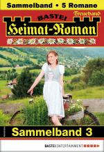 Cover-Bild Heimat-Roman Treueband 3 - Sammelband