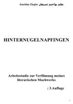 Cover-Bild Hinternugelnapfingen Arbeitsstudie zur Verfilmung meines literarischen Machwerks; 2.Auflage