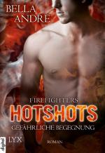 Cover-Bild Hotshots - Firefighters - Gefährliche Begegnung