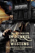 Cover-Bild IM DUNKEL DES WESTENS
