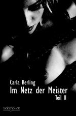 Cover-Bild Im Netz der Meister