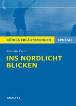 Cover-Bild Ins Nordlicht blicken von Cornelia Franz. Königs Erläuterungen Spezial.
