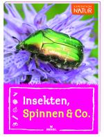 Cover-Bild Insekten, Spinnen & Co.