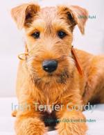 Cover-Bild Irish Terrier Gordy