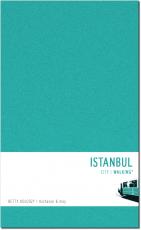 Cover-Bild Istanbul Walking