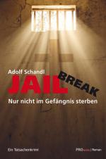 Cover-Bild Jailbreak