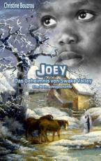 Cover-Bild Joey-Das Geheimnis von Swake Valley