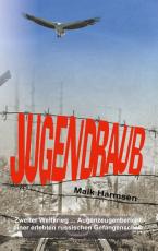 Cover-Bild Jugendraub