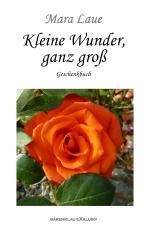 Cover-Bild Kleine Wunder, ganz groß – Ein Geschenkbuch