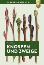 Cover-Bild Knospen und Zweige