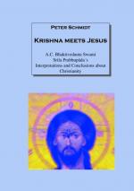 Cover-Bild Krishna meets Jesus