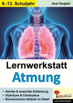 Cover-Bild Lernwerkstatt Atmung / Band 2 (Klasse 9-13)