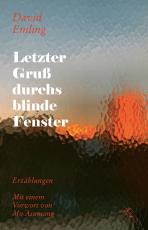 Cover-Bild Letzter Gruß durchs blinde Fenster