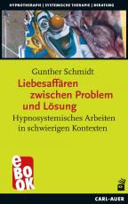 Cover-Bild Liebesaffären zwischen Problem und Lösung