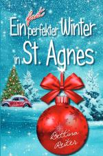 Cover-Bild Liebesromanzen in St. Agnes/Cornwall / Ein fast perfekter Winter in St. Agnes
