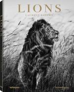 Cover-Bild Lions
