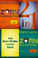 Cover-Bild Lodernder Hass / Blut und Strafe – Zwei Zorn-Thriller in einem Band